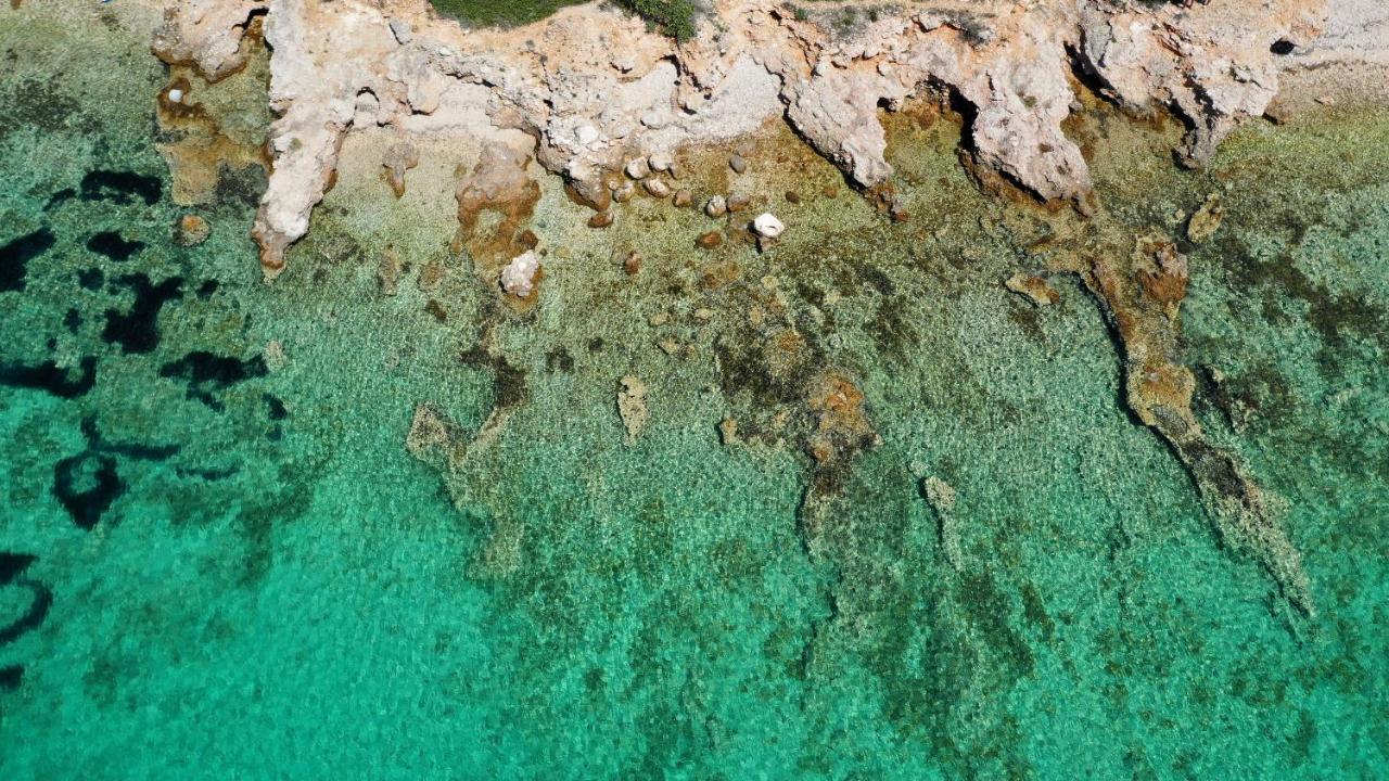 Villa House Mirta Pašman Esterno foto